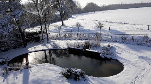 a pond in a field covered in snow at Gite avec piscine La Buissiere - Fernelmont in Pontillas