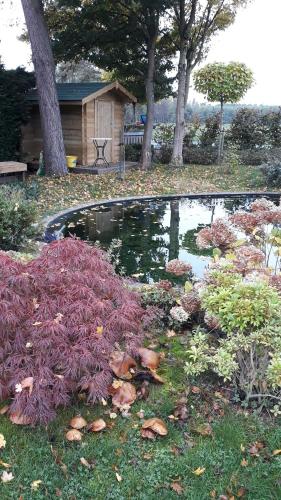 a garden with a pond with plants and a house at Gite avec piscine La Buissiere - Fernelmont in Pontillas
