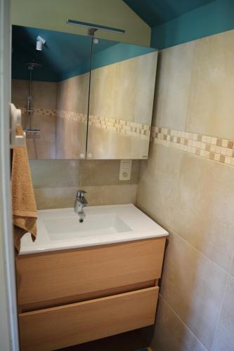 a bathroom with a sink and a mirror at Gite avec piscine La Buissiere - Fernelmont in Pontillas