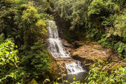 a waterfall in the middle of a jungle at Eco Hostel organic life in Trindade