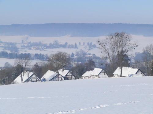 a snow covered field with houses in the distance at Herberg Oud Holset in Lemiers