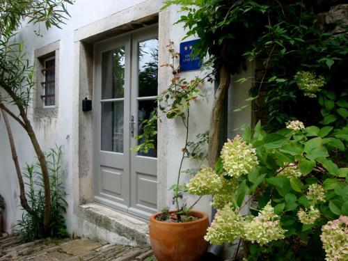 drzwi domu z kwiatami przed nim w obiekcie Casa Pino Pina w mieście Motovun