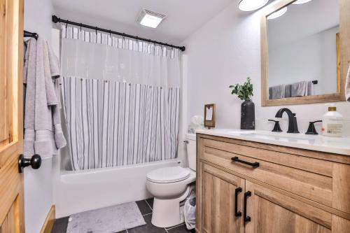 een badkamer met een toilet, een wastafel en een douche bij The Point on Plum in Sayner
