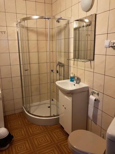 a bathroom with a shower and a sink and a toilet at Wisełka in Płock