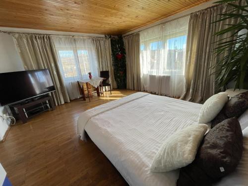 sypialnia z dużym łóżkiem i telewizorem w obiekcie Cozy Villa with a beautiful view w mieście Piatra Neamţ