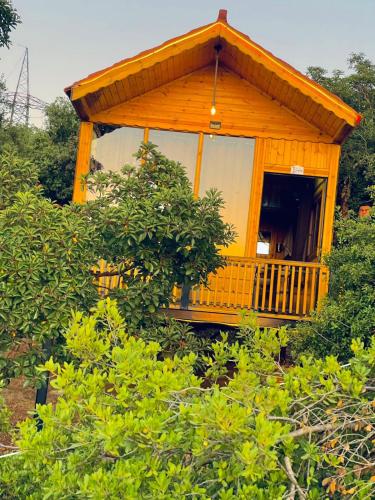 a small building with a porch in the middle of trees at Ajloun Wooden Huts اكواخ عجلون الخشبية Live amid nature in Umm al Manābī‘