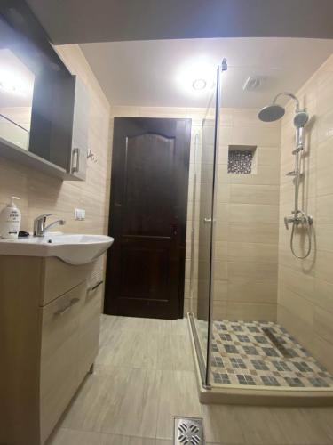 a bathroom with a sink and a shower with a glass door at Acasa la Tulucu in Bîrsana