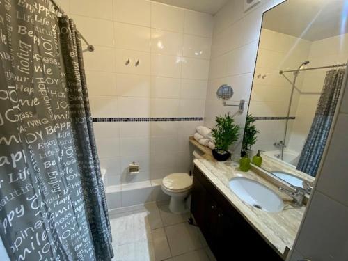 a bathroom with a sink and a toilet and a shower at DEPARTAMENTO 106 un dormitorio primer piso in Talca