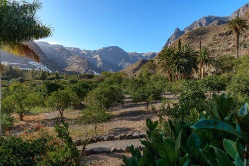a field with palm trees and mountains in the background at Hotel Rural Las Longueras in Agaete
