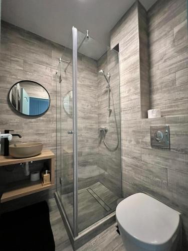 a bathroom with a shower and a toilet and a sink at AAB Studio Central in Piatra Neamţ
