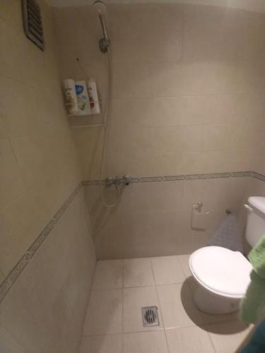 a bathroom with a shower and a toilet in it at MONOAMBIENTE in Mendoza