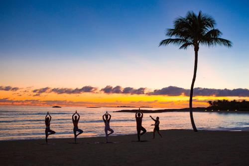a group of people doing yoga on the beach with a palm tree at The Royal at Atlantis in Nassau