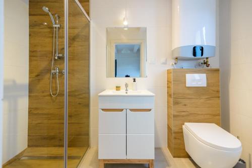 W łazience znajduje się toaleta, umywalka i prysznic. w obiekcie SANMAR-Całoroczne domki nad morzem w Dziwnówku w Dziwnówku