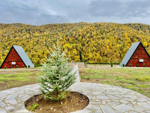 a small christmas tree in a pot in front of two barns at Green Villa Resort Small Gray in Dilijan