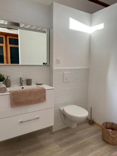 a bathroom with a toilet and a sink and a mirror at O'Cottage double in Annonay