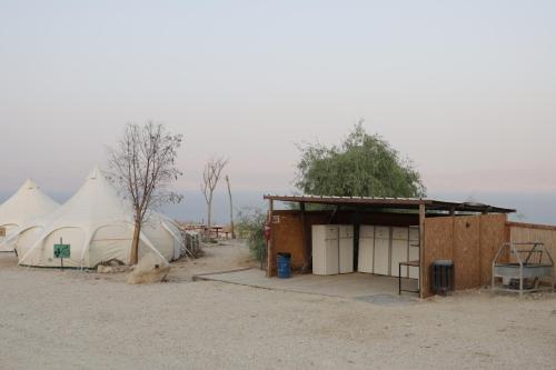 a group of tents in the desert with a building at Badolina Ein Gedi Glamping in Ein Gedi