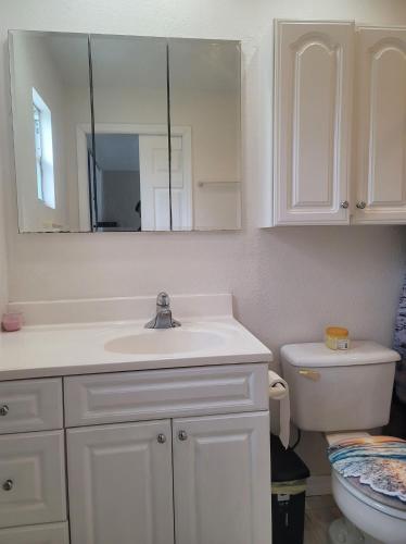 ein weißes Bad mit einem Waschbecken und einem WC in der Unterkunft Entire Guesthouse 5 mins to Siesta Key & downtown in Sarasota