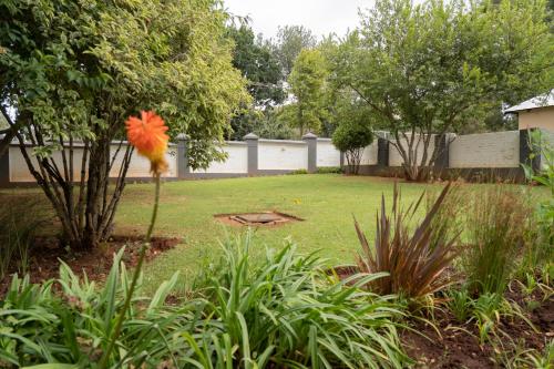 a orange flower on a tree in a yard at Rueby’s Guesthouse in Dullstroom