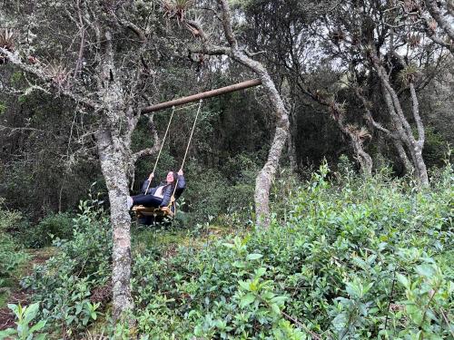 a person swinging on a swing in a tree at Mirador Bosque Gran Torino Neusa in Cogua