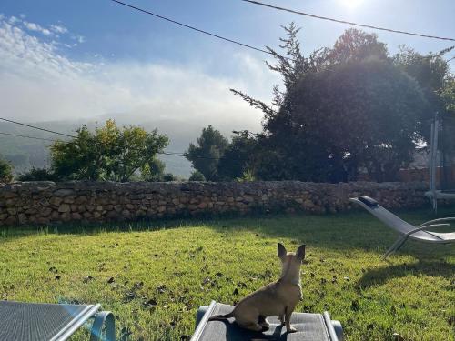Φυσικό τοπίο κοντά σε αυτή η παραθεριστική κατοικία