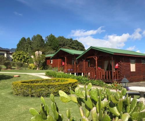 a log cabin with a green roof in a yard at Grandpas Hotel & Restaurante in Cartago