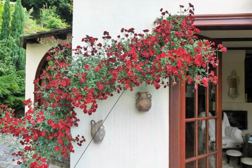 a bunch of red flowers on the side of a building at Wonderful 4 Bedroom Villa & separate guest house Villa Thalia in Zagora