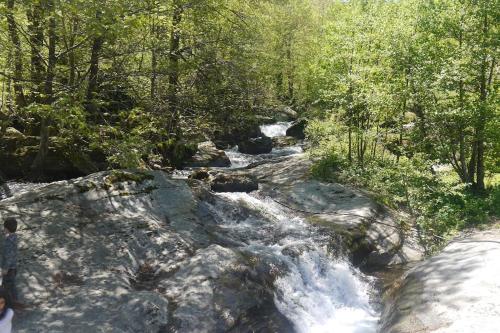 a stream of water with rocks and trees at Wonderful 4 Bedroom Villa & separate guest house Villa Thalia in Zagora