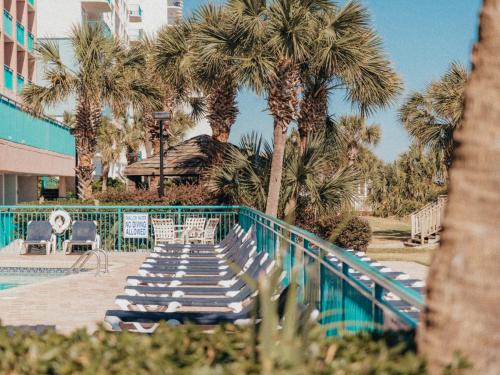 マートルビーチにあるSandcastle Oceanfront Resort South Beachのプールサイドのヤシの木とラウンジチェアのグループ