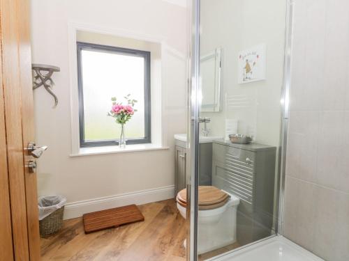 a bathroom with a toilet and a window at Partridge Place in Hull