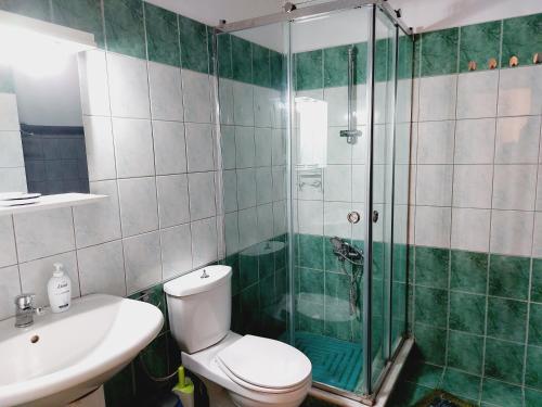 a bathroom with a shower and a toilet and a sink at George's Apartment in Ipsos