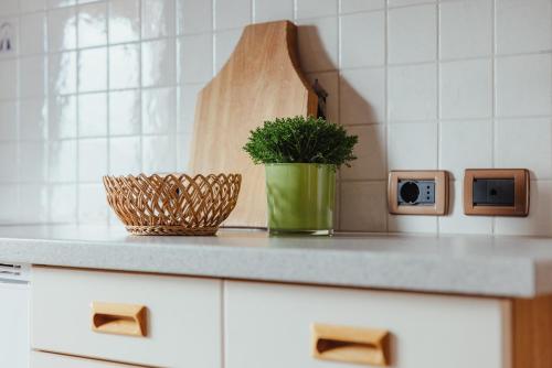 a kitchen counter with a plant in a green container at Oberaldoss Residence Wellness in Santa Cristina in Val Gardena