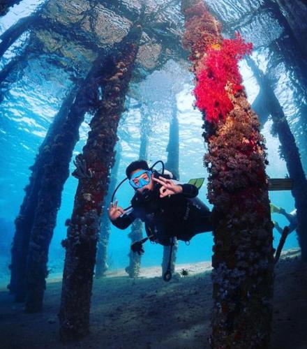 Επισκέπτες που μένουν στο Bait Alaqaba dive center & resort
