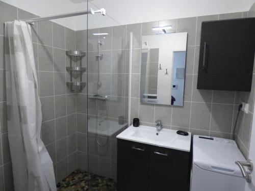 une salle de bain avec une douche, un lavabo et un miroir dans l'établissement T3 Savines le lac - 2 chambres et terrasse avec vue imprenable sur les montagnes !, à Savines