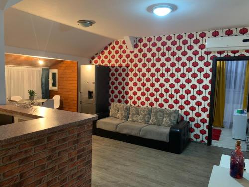 蒂米什瓦拉的住宿－Apartament in regim hotelier，客厅配有靠红墙的沙发