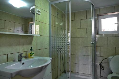 W łazience znajduje się umywalka i przeszklony prysznic. w obiekcie La Rodica in Vale w mieście Ocna Şugatag