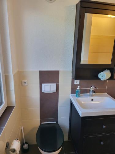 a bathroom with a toilet and a sink at Modernes behagliches Haus mit Kamin, Terrasse und Garten in Magdeburg