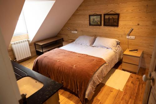 a bedroom with a bed and a sink in a attic at LE 41 AVENUE FOCH in Luchon
