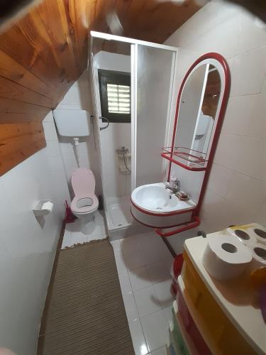 a bathroom with a sink and a toilet and a mirror at Vila Idila in Divčibare