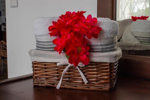 Ảnh trong thư viện ảnh của Eco Stay Hostel ở San José