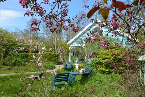 a blue bench in a garden with pink flowers at Wonderland in Pieterburen