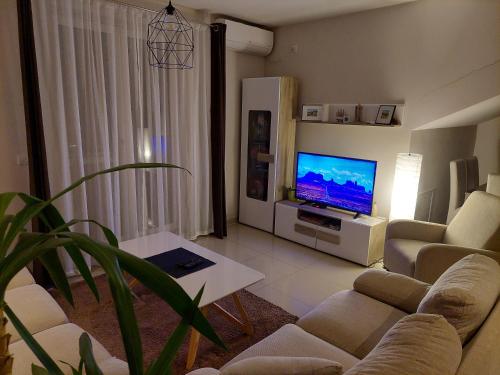 a living room with couches and a flat screen tv at A2 in Veliko Gradište