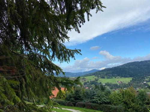 a view of a valley from a tree at Cerla Korbielów 16 Plus in Korbielów