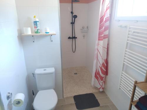 ein kleines Bad mit einem WC und einer Dusche in der Unterkunft sasu eco nature in Vendays-Montalivet