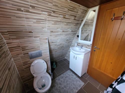 a small bathroom with a toilet and a sink at Koliba Umoljani in Umoljani
