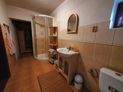 a bathroom with a sink and a mirror at Holidayhouse Chalupa Alžbetka in Važec