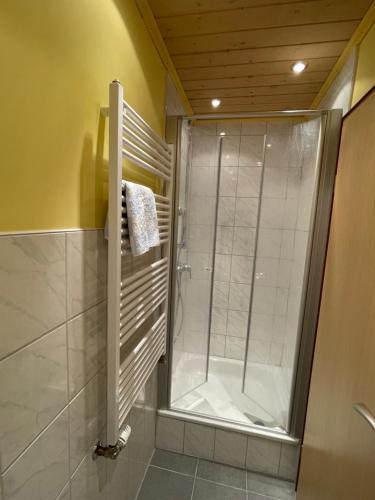 La salle de bains est pourvue d'une douche avec une porte en verre. dans l'établissement Ferienhaus Sofia, à Urschmitt
