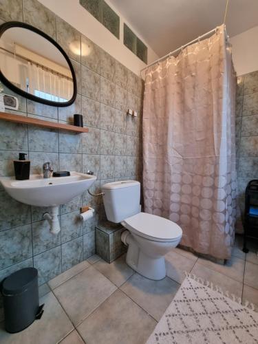 a bathroom with a toilet and a sink at Willa Marta in Szklarska Poręba