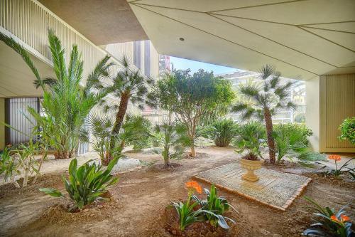 une cour avec des palmiers et un vase dans un bâtiment dans l'établissement REF 1389 - Cannes Center - Apartment for rent, à Cannes