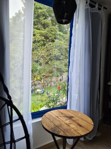 Zahrada ubytování CASA NDOMI TEPOZ