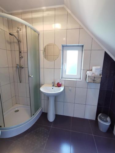 a bathroom with a sink and a shower at Cabana Alina in Păltiniş